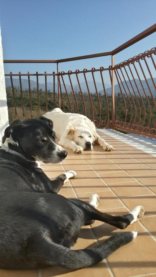 L'Arcadia Bed & Breakfast Giffoni Sei Casali Dış mekan fotoğraf